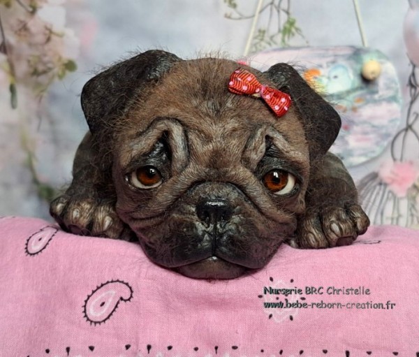 AA Monty simon Laurens (2)